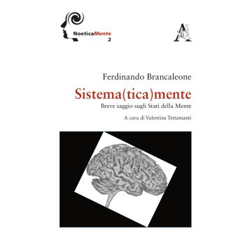 Sistema(tica)mente. Breve saggio sugli stati della mente