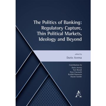The politics of banking: regulatory capture, thin political markets, ideology and beyond