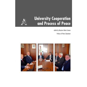 University Cooperation and Process of Peace