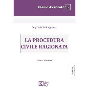 La procedura civile ragionata