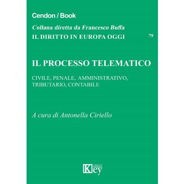 Il processo telematico. Civile, penale, amministrativo, tributario, contabile
