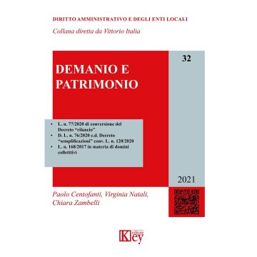 Demanio e patrimonio