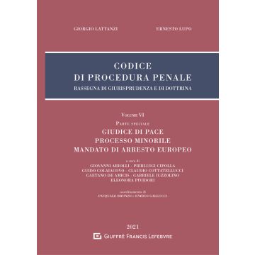 Codice di procedura penale. Rassegna di giurisprudenza e di dottrina. Vol. 6: Parte Speciale. Giudice di pace. Processo minorile. Mandato di arresto europeo
