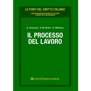 Il processo del lavoro