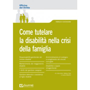 Come tutelare la disabilità nella crisi della famiglia