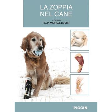 La zoppia nel cane