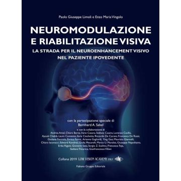 Neuromodulazione e riabilitazione visiva nel paziente ipovedente libro limoli paolo giuseppe vingolo enzo maria fabiano editore