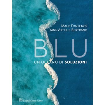 Blu. Un oceano di soluzioni