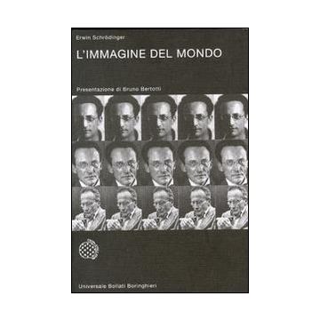 L'immagine del mondo