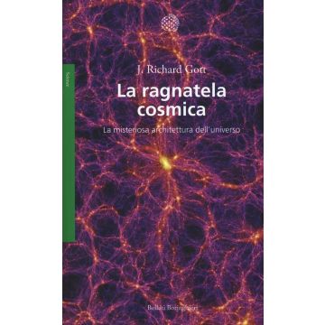 La ragnatela cosmica. La misteriosa architettura dell'universo