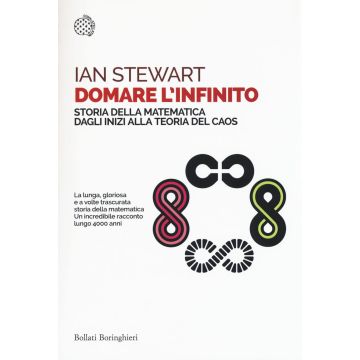 Domare l'infinito. Storia della matematica dagli inizi alla teoria del caos