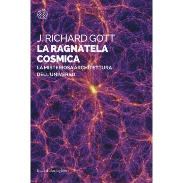 La ragnatela cosmica. La misteriosa architettura dell'universo