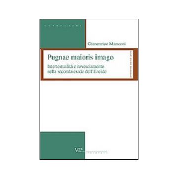 Pugnae maioris imago. Intertestualità e rovesciamento nella seconda esade dell'Eneide