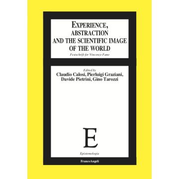 Experience, abstraction and the scientific image of the world. Festschrift for Vincenzo Fano