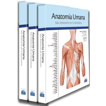 TRATTATO DI ANATOMIA UMANA di Prometheus barone benagiano edises 2021