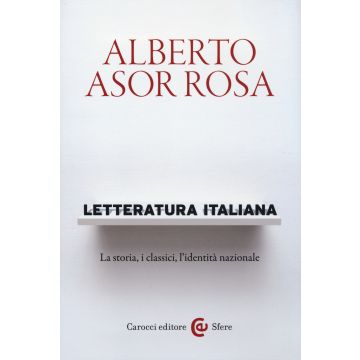 Letteratura italiana. La storia, i classici, l'identità nazionale