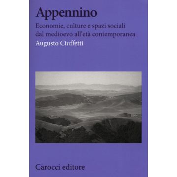 Appennino. Economie, culture e spazi sociali dal Medioevo all'età contemporanea