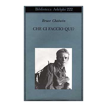 Che ci faccio qui?