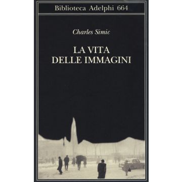 La vita delle immagini