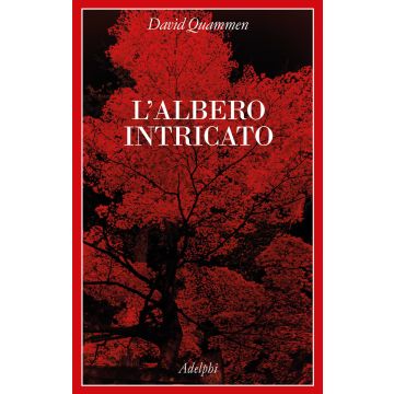 L'albero intricato