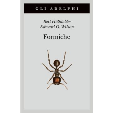 Formiche. Storia di un'esplorazione scientifica