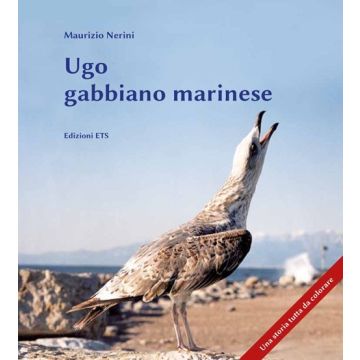 Ugo gabbiano marinese