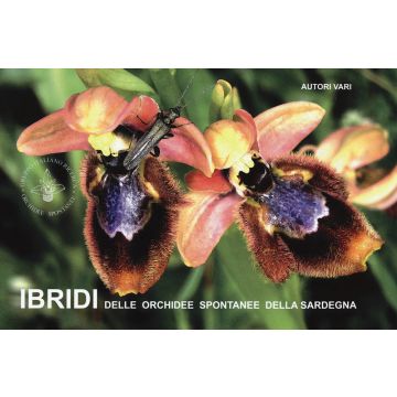 Ibridi delle orchidee spontanee della Sardegna