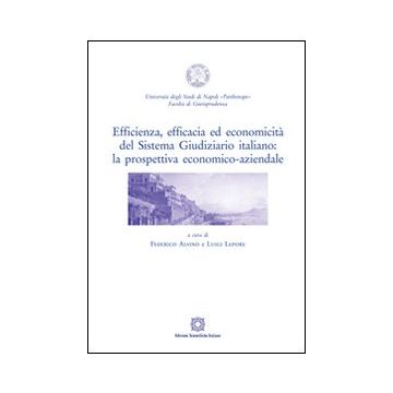 Efficienza, efficacia ed economicità del sistema giudiziario italiano. La prospettiva economico-aziendale