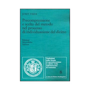 Precomprensione e scelta del metodo nel processo di individuazione del diritto