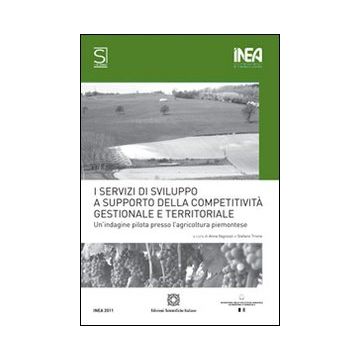 I servizi di sviluppo della competitività