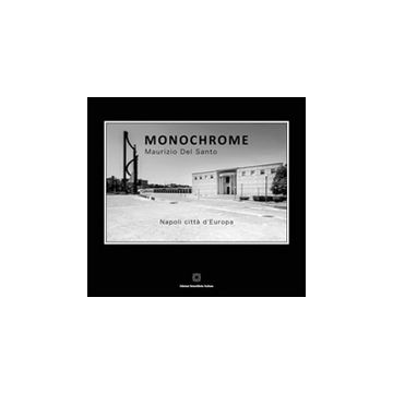Monochrome. Ediz. illustrata