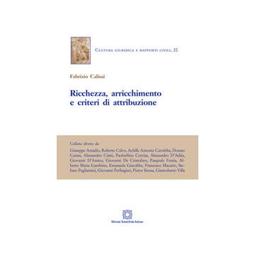 Ricchezza, arricchimento e criteri di attribuzione