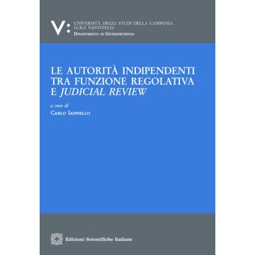 Le autorità indipendenti tra funzione regolativa e judical review