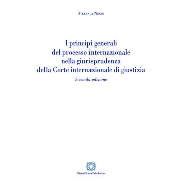 I principi generali del processo internazionale nella giurisprudenza della corte internazionale di giustizia