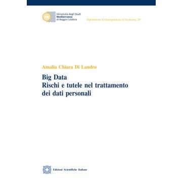 Big Data. Rischi e tutele nel trattamento dei dati personali