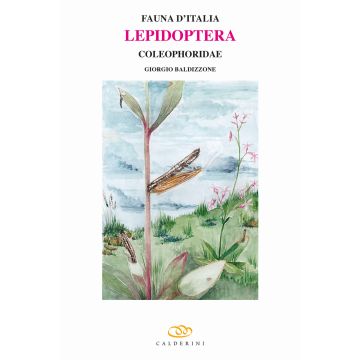 Lepidoptera. Coleophoridae
