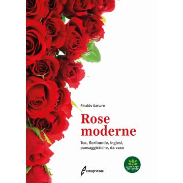 Rose moderne. Tea, floribunde, inglesi, paesaggistiche, da vaso