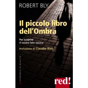 Il piccolo libro dell'ombra. Per scoprire il nostro lato oscuro