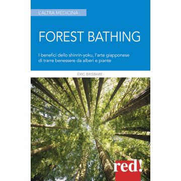 Forest bathing. I benefici dello Shinrin-yoku, l'arte giapponese di trarre benessere da alberi e piante