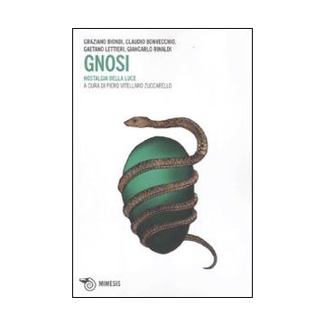Gnosi. Nostalgia della luce