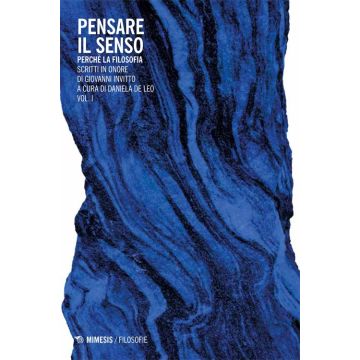 Pensare il senso. Perché la filosofia. Scritti in onore di Giovanni Invitto