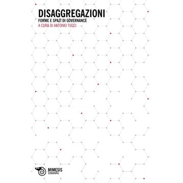 Disaggregazioni. Forme e spazi di governance