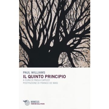 Il quinto principio