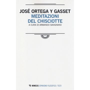 Meditazioni del Chisciotte