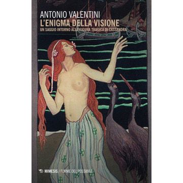 L'enigma della visione