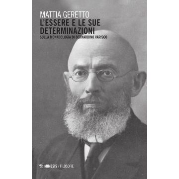 L'essere e le sue determinazioni. Sulla monadologia di Bernardino Varisco