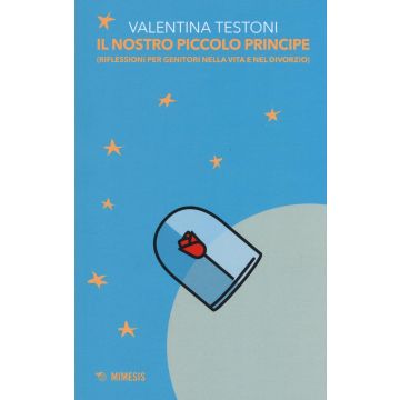 Il nostro piccolo principe (riflessioni per genitori nella vita e nel divorzio)