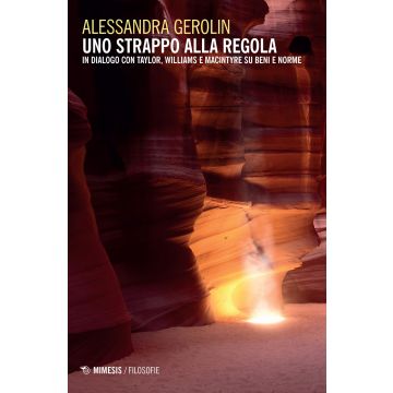 Uno strappo alla regola. In dialogo con Taylor, Williams e Macintyre su beni e norme