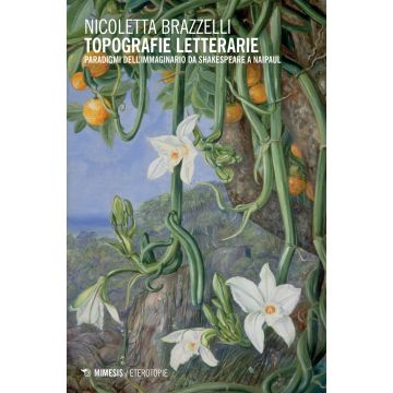 Topografie letterarie. Paradigmi dell'immaginario da Shakespeare a Naipaul