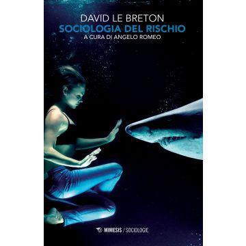 Sociologia del rischio